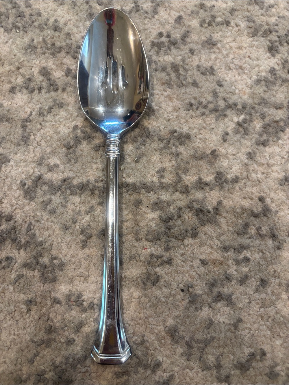 Onedia Stainless Steel Silver Serving Spoon - Classic Home Dining